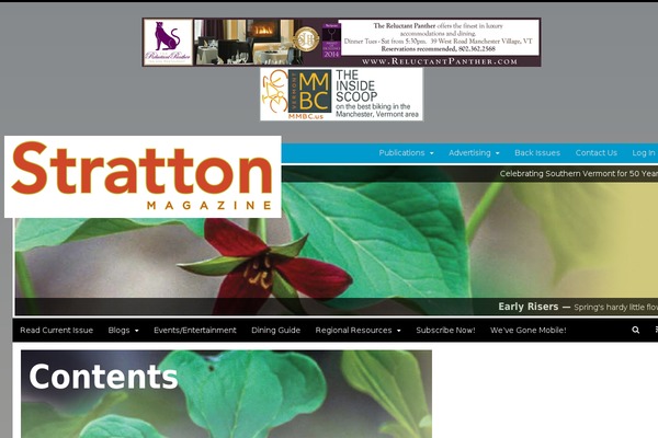 Site using Envato-flex-slider plugin