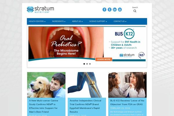 Tiny-framework-child theme site design template sample