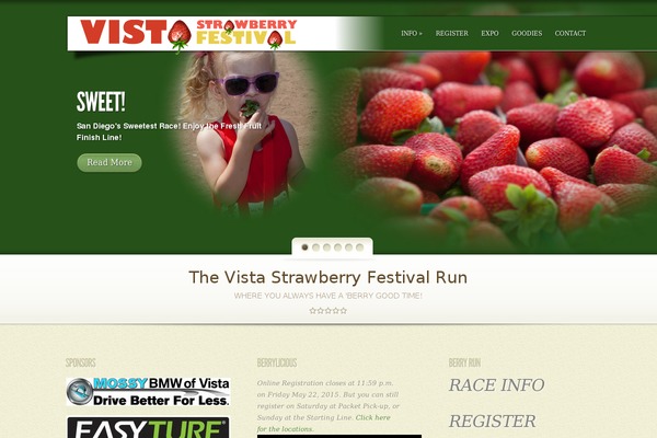 Roots theme site design template sample