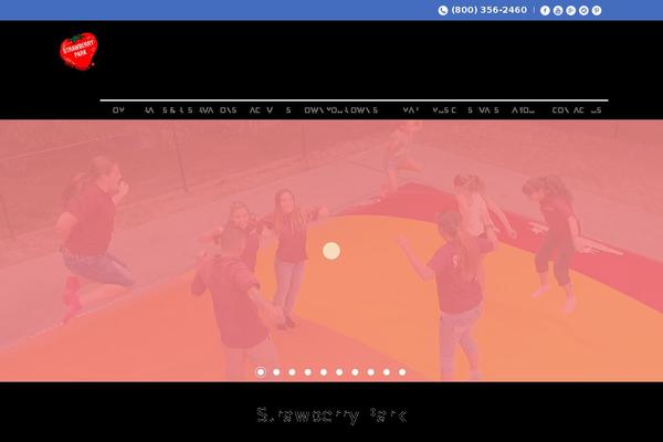 The-mounty theme site design template sample