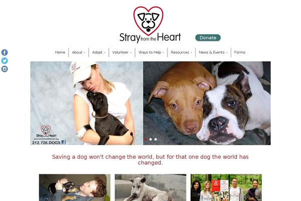 Site using New-royalslider plugin