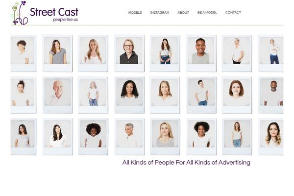 Top-model theme site design template sample