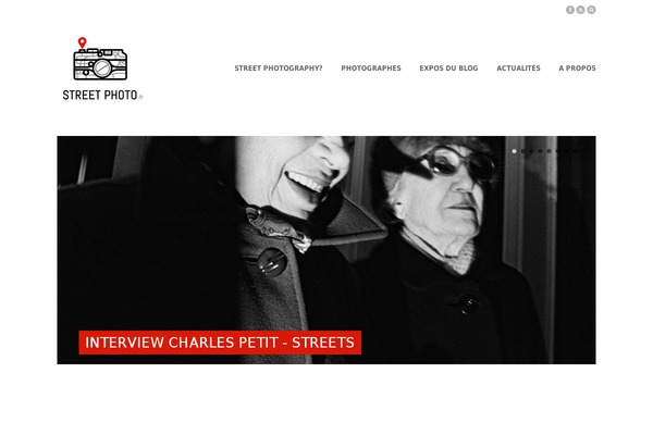 Pure_gray theme site design template sample