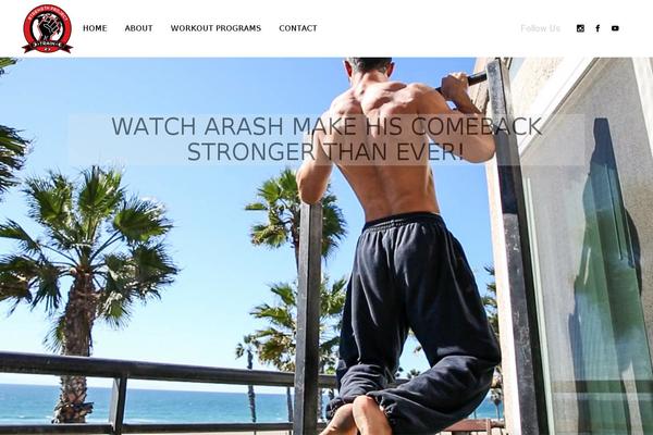 Site using Google Analytics Dashboard By Analytify plugin