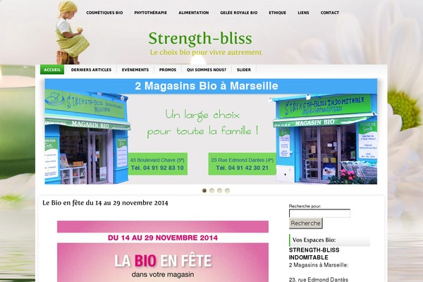 Beautyspa theme websites examples