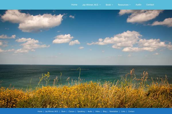 Minamaze (Pro) theme site design template sample