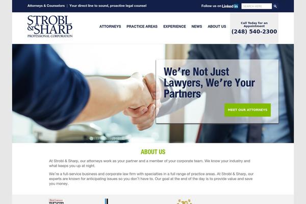 Site using Seo-slider plugin