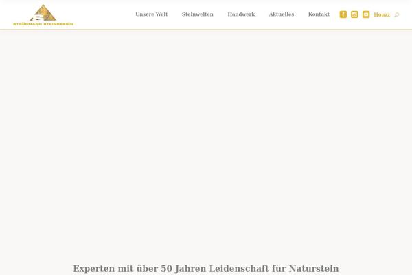 Site using Instagram Widget by WPZOOM plugin