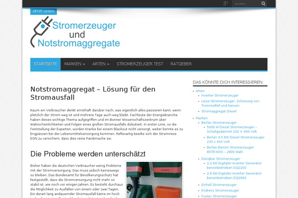 WordPress website example screenshot