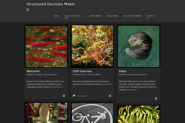 Site using Wp-staging-pro plugin