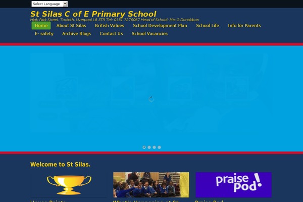 For The Cause theme site design template sample
