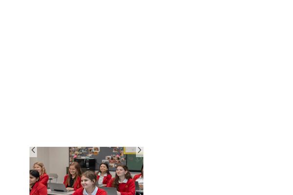 Site using Custom-twitter-feeds-pro plugin
