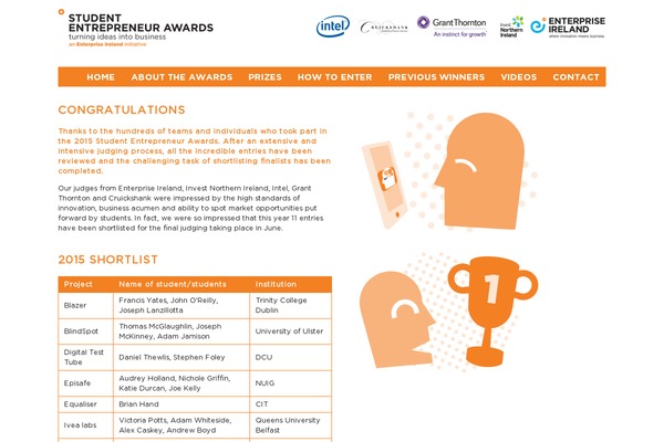 enterprise-ireland theme websites examples