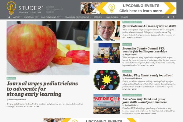 studerci theme websites examples