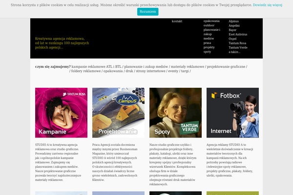 Divi Child theme site design template sample