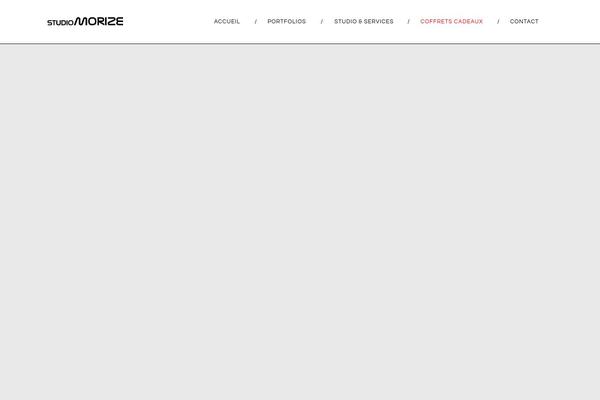 Tm-zebre theme site design template sample
