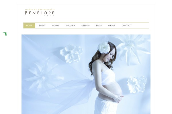 studio-penelope.com site used Bird