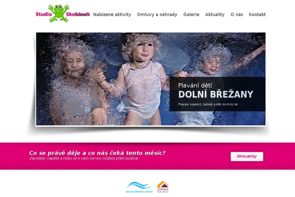 Site using Custom CSS plugin
