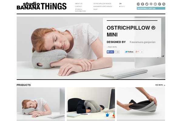 things WordPress theme, websites list used things theme things theme websites examples