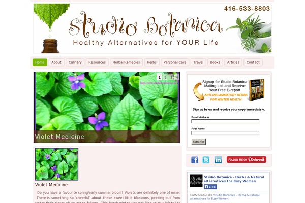 Site using Meks Flexible Shortcodes plugin