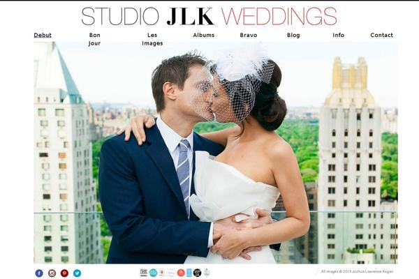 fluxus-child theme websites examples