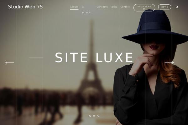 Hudsonwp theme site design template sample