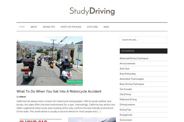 Magazine Pro theme site design template sample