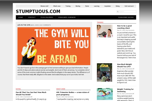 Hayden theme site design template sample