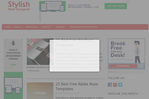 Site using Another Author Box plugin