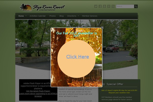 Pro theme site design template sample