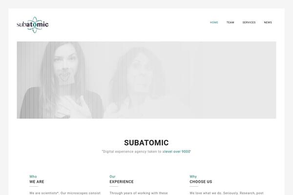 rockfolio theme websites examples