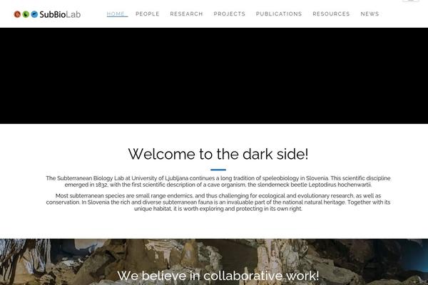 Site using Wp-multilang plugin