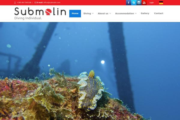 Envision theme site design template sample