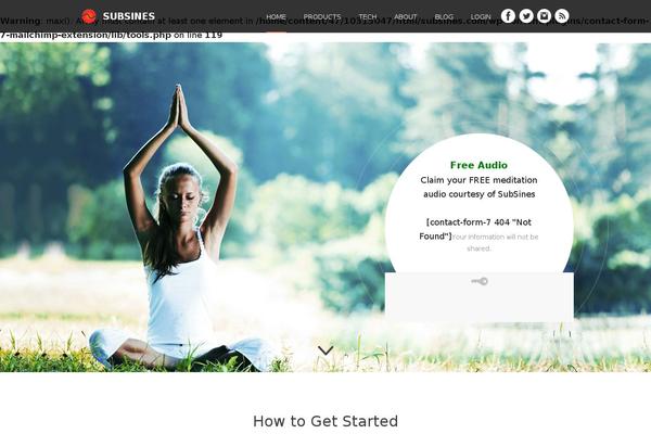 ss-theme theme websites examples