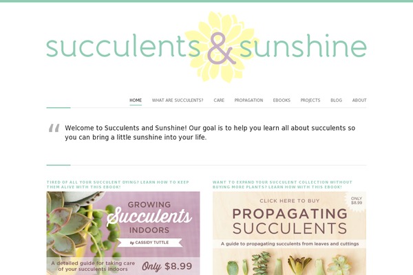 Site using Bigscoots-cache plugin