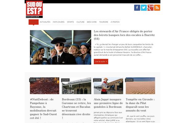 Site using WP My Social Networks plugin