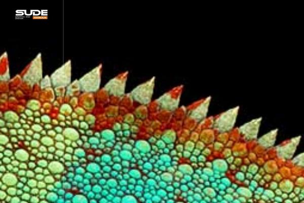 Burst theme site design template sample