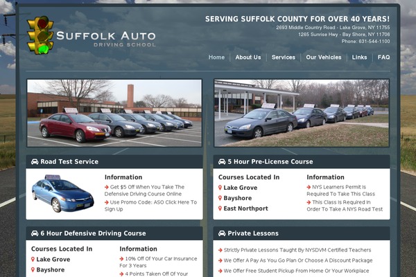 Drive theme site design template sample