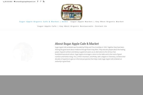 Divi Child theme site design template sample