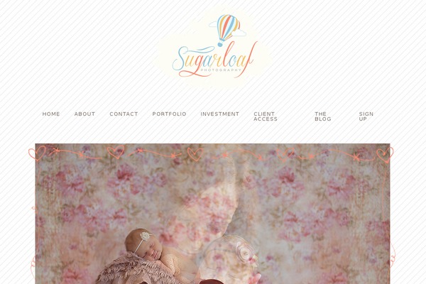 ProPhoto 7 theme site design template sample