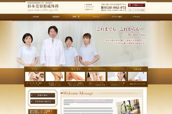 Noel_tcd072 theme site design template sample