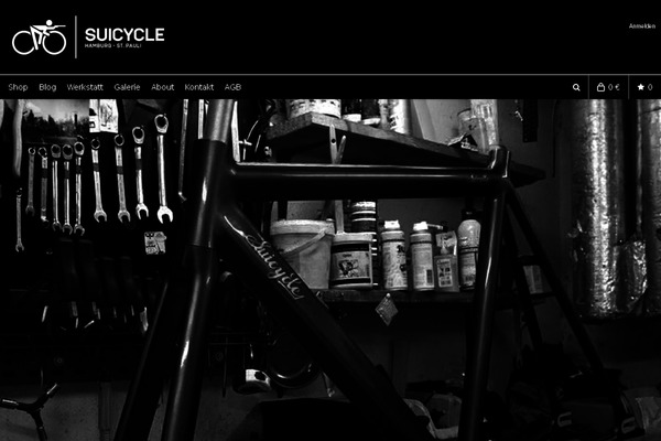 Salient theme site design template sample