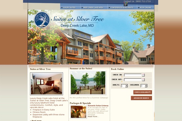DCL2015 theme websites examples