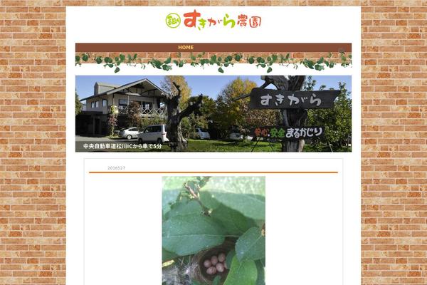 Site using Meta Slider plugin