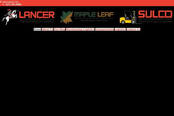 Total-child-theme theme site design template sample
