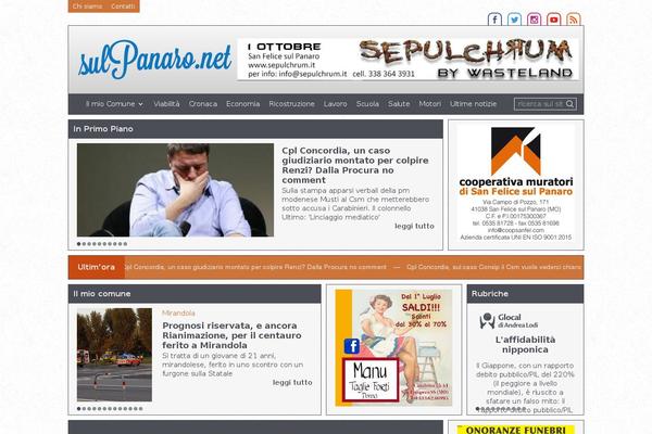 Site using Wp-youtube-playlist-widget plugin