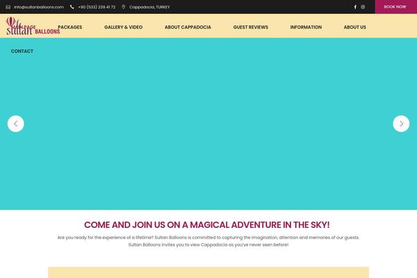 SetSail theme site design template sample