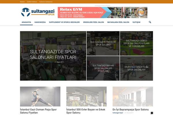 Newspaper theme site design template sample