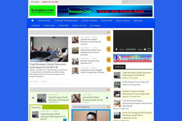 Site using Video Embed & Thumbnail Generator plugin