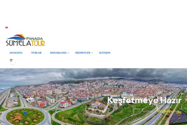 Site using GTranslate - Google Translate plugin